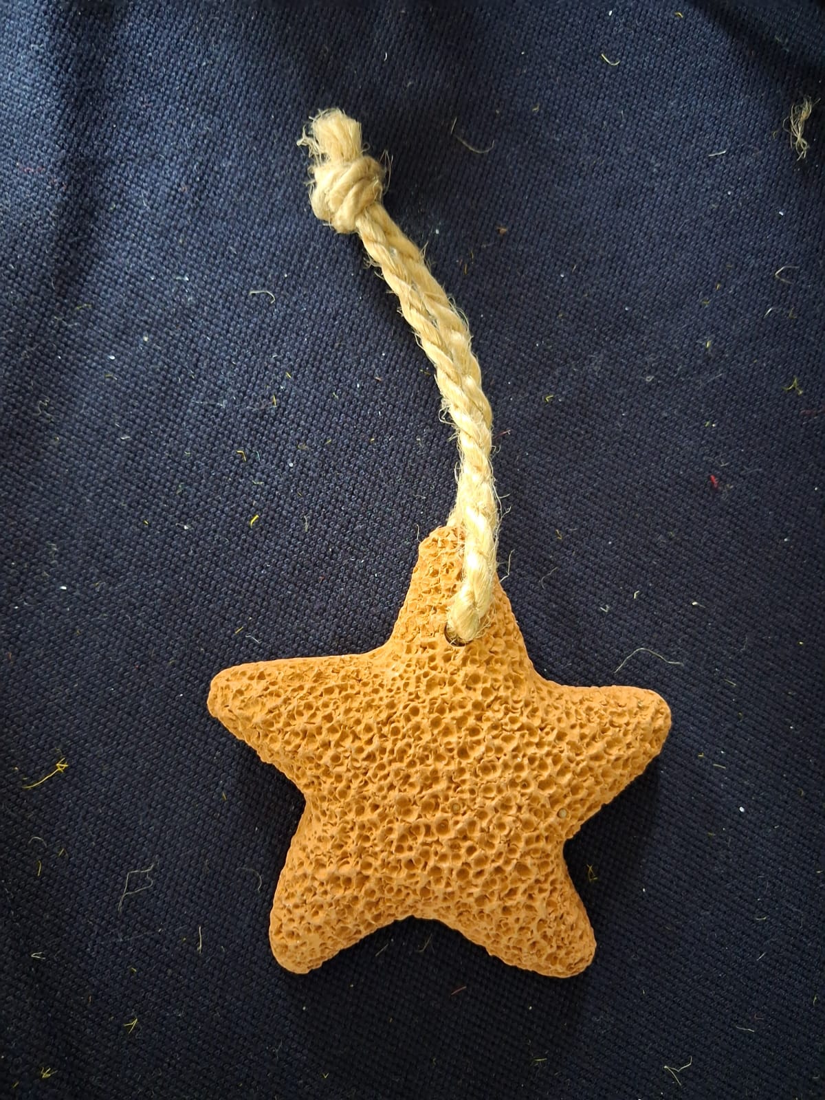 Terra & Bloom Collection