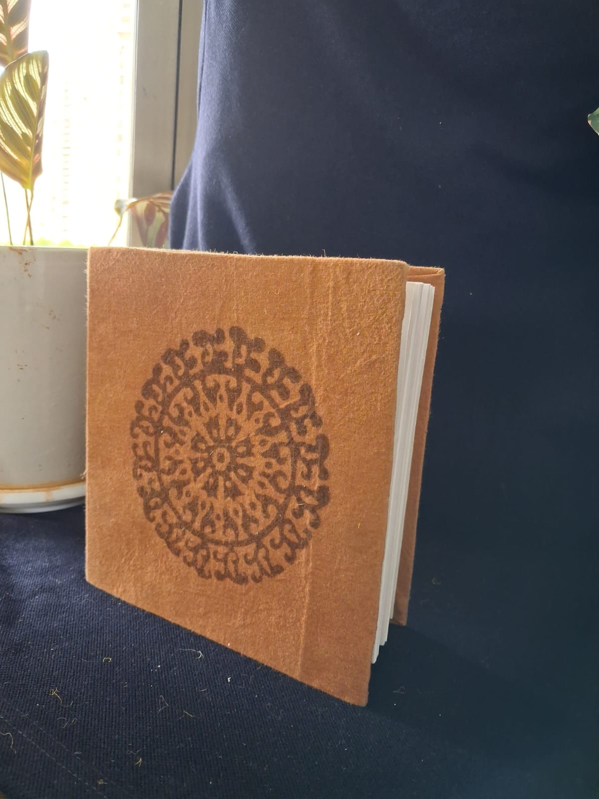 Terra & Bloom Collection